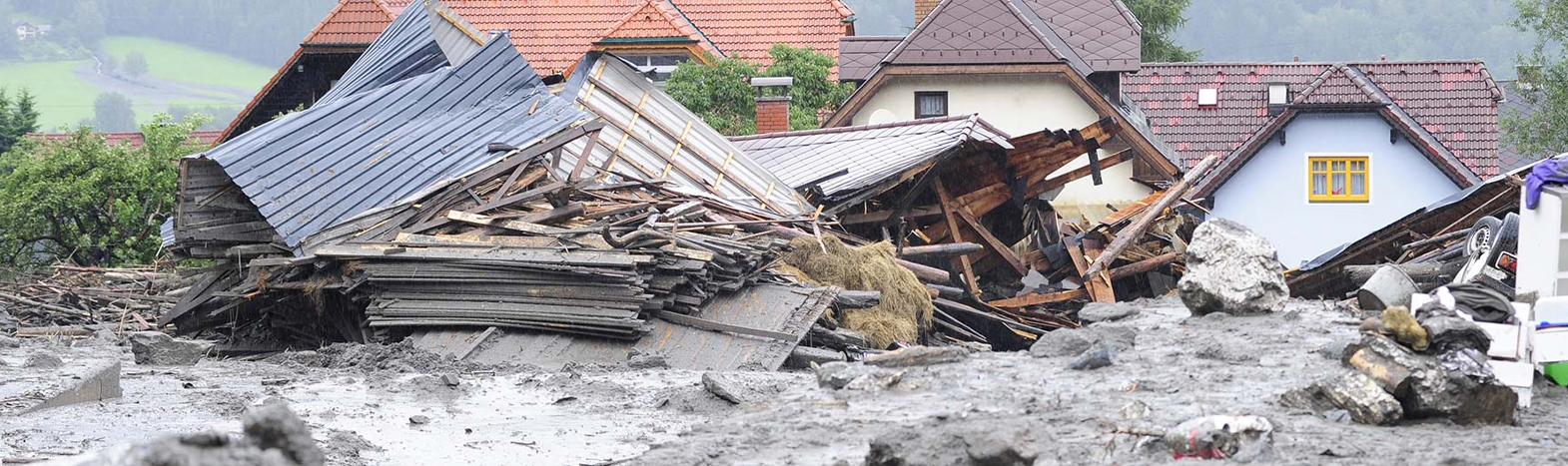 Remodeling Contractor